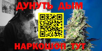 гашик Моздок