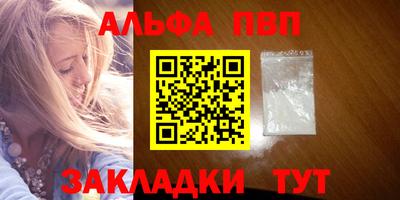 гашик Моздок