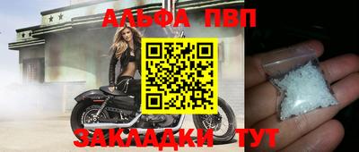 гашик Моздок