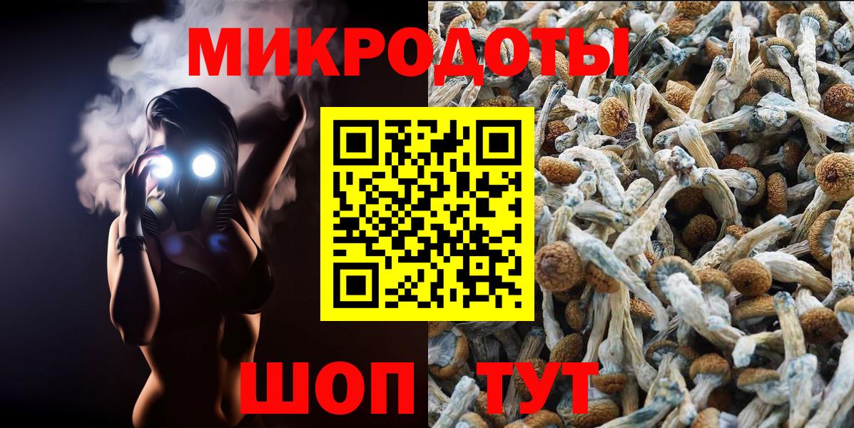 Галлюциногенные грибы прущие грибы Томск