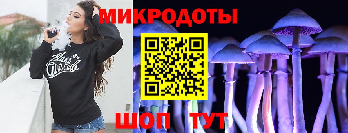 Томск  Галлюциногенные грибы Cubensis  Вход с VPN 